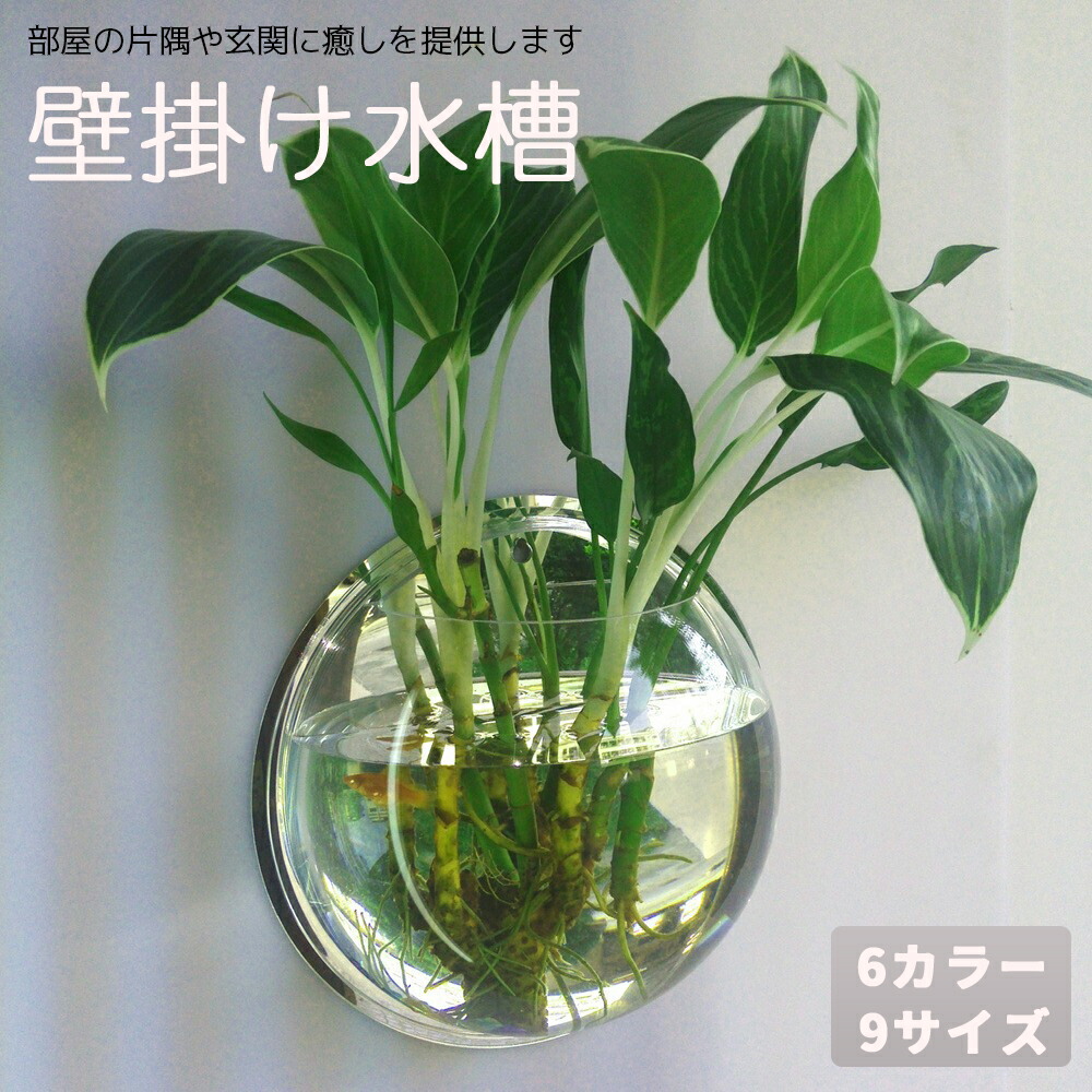 楽天市場】壁掛け水槽 吊り下げ金魚鉢 アクリル 植木鉢 花瓶