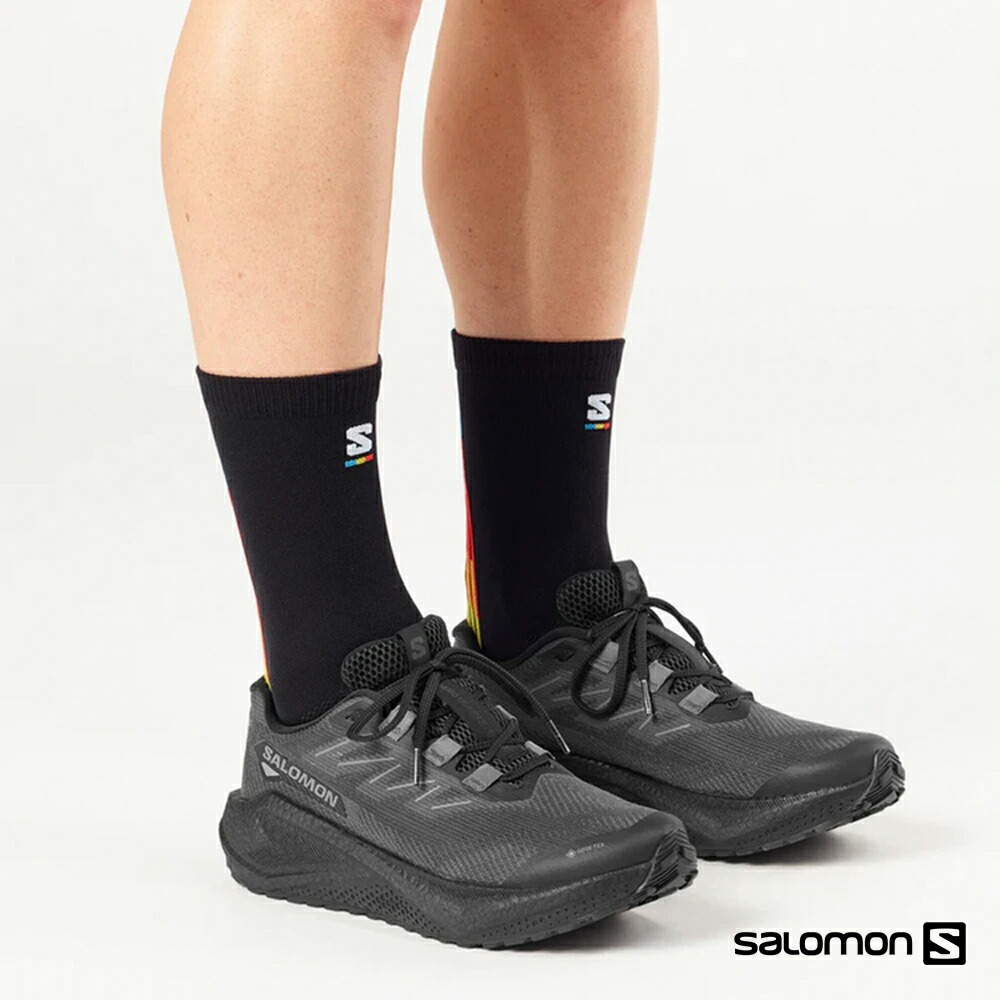 【ポイント10倍 ～4/17 9:59】 サロモン ランニングシューズ メンズ エアロブレイズ 3 グラベル ゴアテックス SALOMON L47976600 正規取扱品