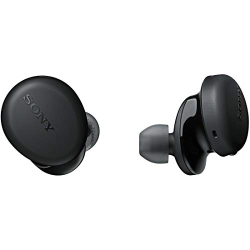 ソニー(SONY) 完全ワイヤレスイヤホン WF-XB700 : 重低音モデル / 最大9時間連続再生 / マイク搭載 2020年モデル 送料無料|そら坊ストア