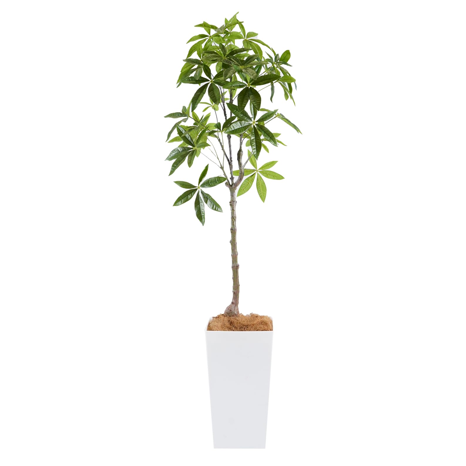 + フェイクグリーン 観葉植物 光触媒 大型 消臭 抗菌 パキラ 140cm Kシリーズ