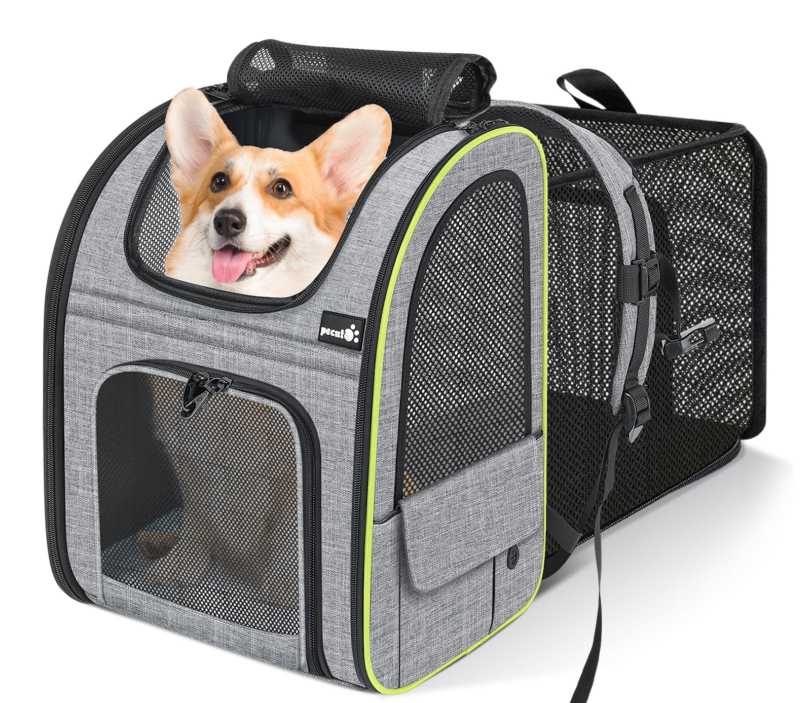 【クーポンで10％OFF！！】【送料無料】ペキュート Pecute ペットキャリー リュック 猫 キャリーバッグ ペット 犬 猫 リュック 通気性