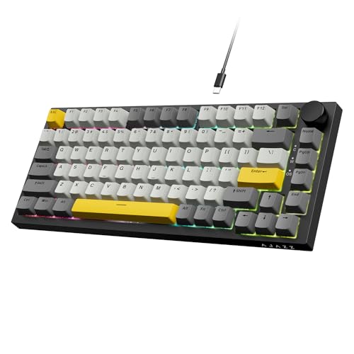 【クーポンで10％OFF！！】【送料無料】A.JAZZ AK820 有線メカニカルキーボード明月軸 75% 81キーUSB ホットスワップ対応ゴースト防止Ga