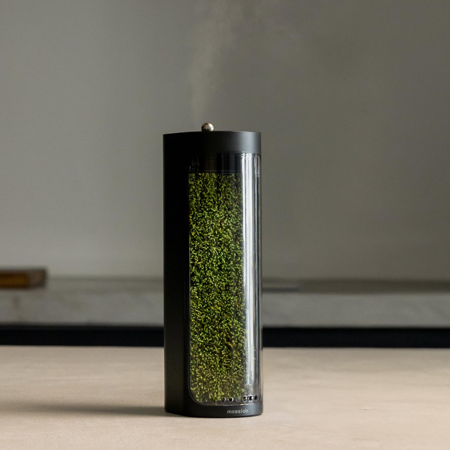 生きている苔の加湿器 | テラリウム & テーブル装飾 | ミスト噴水 | お手入れ簡単な室内植物 | 室内のリラックス 8,184円
