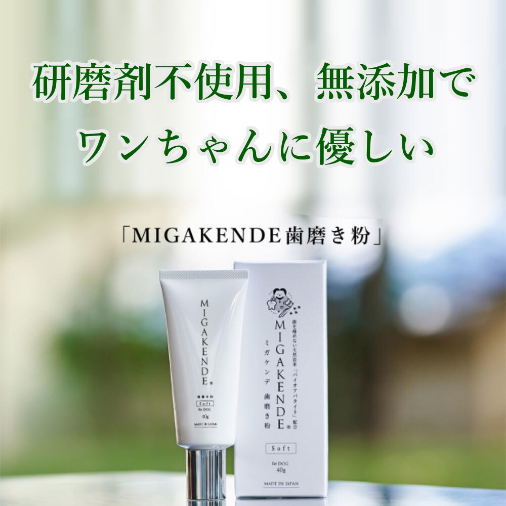 デンタル オーラルケア 歯周病予防 黄ばみ 除去 Migakende 口臭予防 歯石 ミガケンデ ハミガキ 歯磨き粉 歯磨き 歯ブラシ