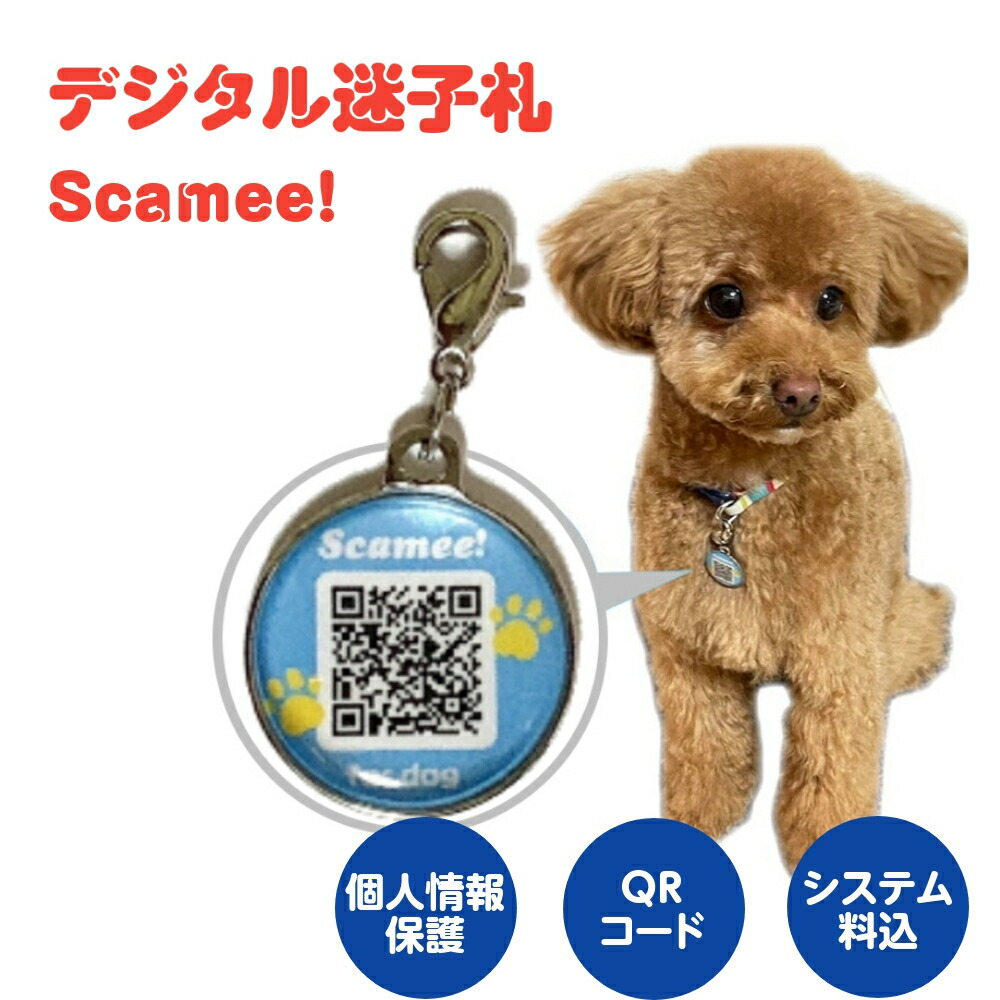 送料無料 デジタル迷子札 Scamee 位置情報 Qrコード 個人情報保護 ペンダント