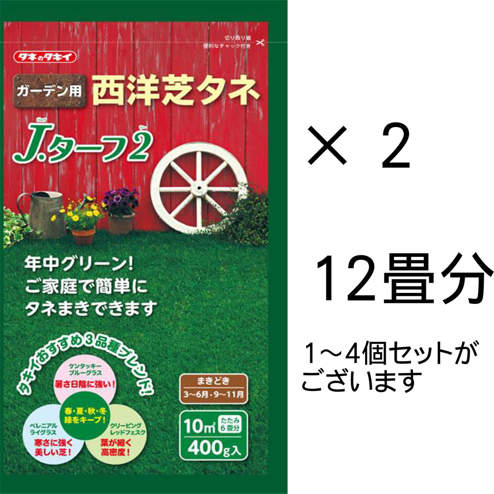 市場 Jターフ2 800g 12畳分 西洋芝の種 タキイ種苗 約20平米