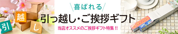 楽天市場】[引越し 挨拶 粗品 ギフト 品物] 花王 ビオレU 泡 ハンドソープ （のし+手提げ紙袋付） [引っ越し 挨拶ギフト 粗品 初盆 お返し]  : 粗品デポ楽天市場店