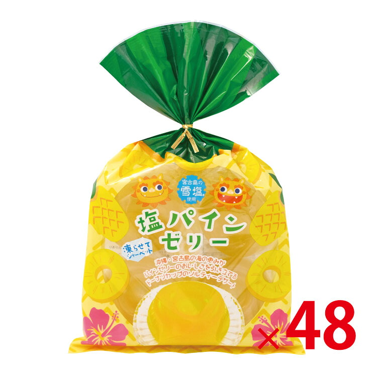 【送料無料（北海道・沖縄除く）】 塩パインゼリー 4個入 YPA-4 48個セット 【代引き不可】