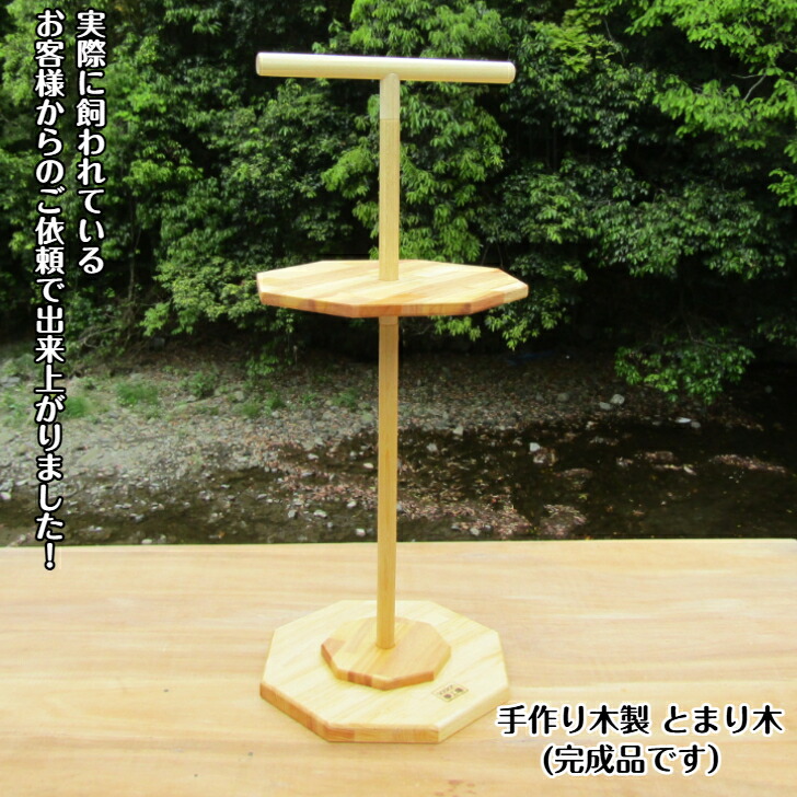 楽天市場】童具館 かずの木 白木 : 木のおもちゃがりとん