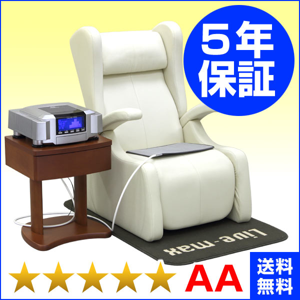 リブマックス12700 ファーストクラス(ココロカ)★★★★★(程度AA)5年保証+1年保証 電位治療器【中古】|電位・交流磁気などの治療器屋さん