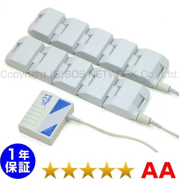 やり取り磁気和らげる器 ＮＩＫＫＥＮ バイオ光束21 ★★★★★（度合いAA）１年引きうける【中古】 Magnetic therapy