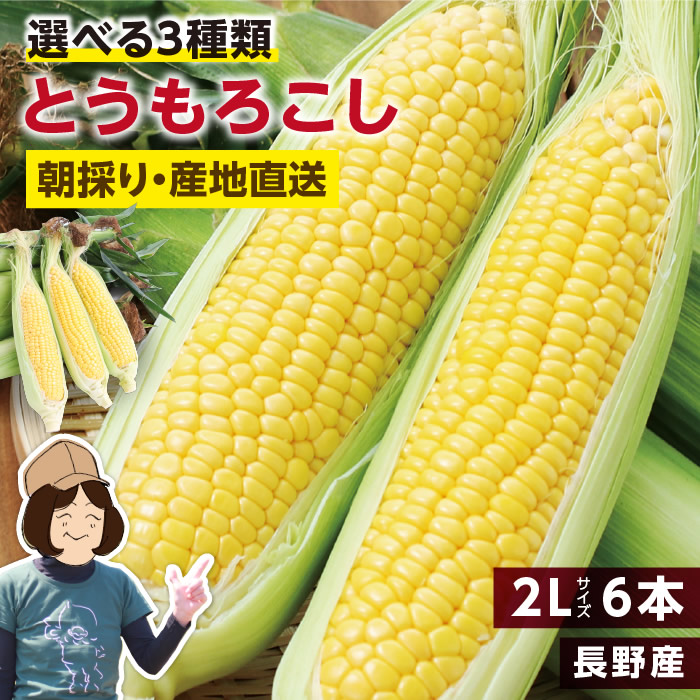【送料無料】長野県産 とうもろこし 2Lサイズ 6本 約2kg 選べる3品種 ゴールデンタイム ゴールドラッシュ わくわくコーン | トウモロコシ 朝採り 鮮度抜群 当日出荷 夏野菜 産地直送 甘い 生で食べられる コーン 冷蔵発送 おいしい 贈り物 ギフト お中元 みのりファーム画像