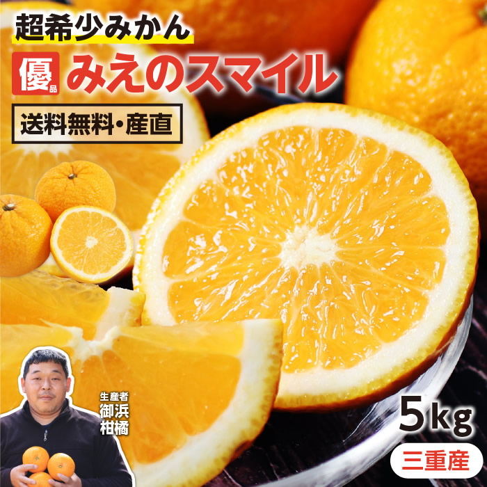 【楽天市場】【送料無料】 みえのスマイル 三重県産 5kg L～2Lサイズ 産地直送 御浜柑橘 サイズ不揃い 24玉前後 -S02J ...