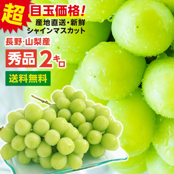 【送料無料】 シャインマスカット 約2kg 秀品 送料無料 産地厳選 長野・山梨産 一房あたり約500g 3～5房 産地直送 皮ごと食べられる 大人気ブドウ 種なし ぶどう | 高糖度 シャイン マスカット ブドウ 果物 甘い ギフト プレゼント フルーツ 常温発送