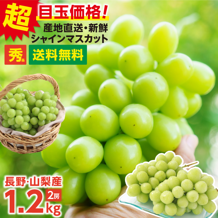 送料無料】シャインマスカット 約1.2kg 2房 秀品 産地厳選 長野・山梨 ...