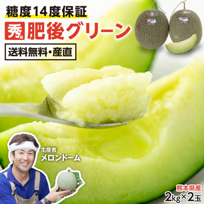 【送料無料】熊本県産 肥後グリーン メロン 約2kg 2玉入り 糖度保証 3Lサイズ以上 プレゼント 秀品 糖度14度保証 産地直送 メロンドーム 高級メロン ブランドメロン  -S05T | 甘いメロン 美味しいメロン 産直 こだわり果物 生産者直送 おいしい フルーツ