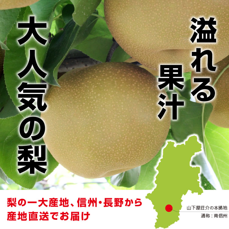 【送料無料】 梨 訳あり 5kg 長野県産 幸水 / 豊水 / 二十世紀 / あきづき / 新高 / 南水 6品種からお好きな梨を選べる！ ご自宅用 お徳用 ご家庭用 | なし 訳あり梨 和梨 ナシ 産地直送 旬の果物 大容量 フルーツ お得 果汁たっぷり 傷あり 変形果 お取り寄せ 信州産