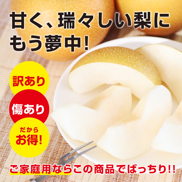 【送料無料】 梨 訳あり 5kg 長野県産 幸水 / 豊水 / 二十世紀 / あきづき / 新高 / 南水 6品種からお好きな梨を選べる！ ご自宅用 お徳用 ご家庭用 | なし 訳あり梨 和梨 ナシ 産地直送 旬の果物 大容量 フルーツ お得 果汁たっぷり 傷あり 変形果 お取り寄せ 信州産