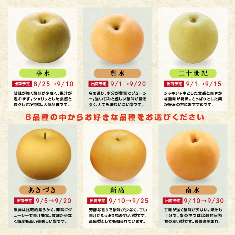 送料無料】訳あり 梨 10kg 長野県産 幸水 / 豊水 / 二十世紀 / あ