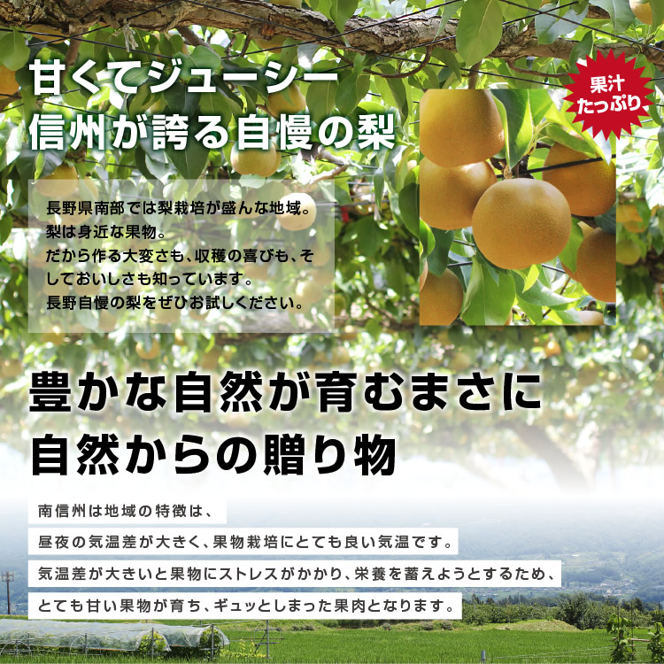 熱販売 訳あり 梨 10kg 長野県産 幸水 豊水 二十世紀 あきづき 新高 南水 6品種からお好きな梨を選べる ご自宅用 お徳用 ご家庭用 なし 訳 あり梨 和梨 ナシ 産地直送 旬の果物 大容量 フルーツ お得 果汁たっぷり 傷あり 変形果 お取り寄せ 信州産 qdtek.vn