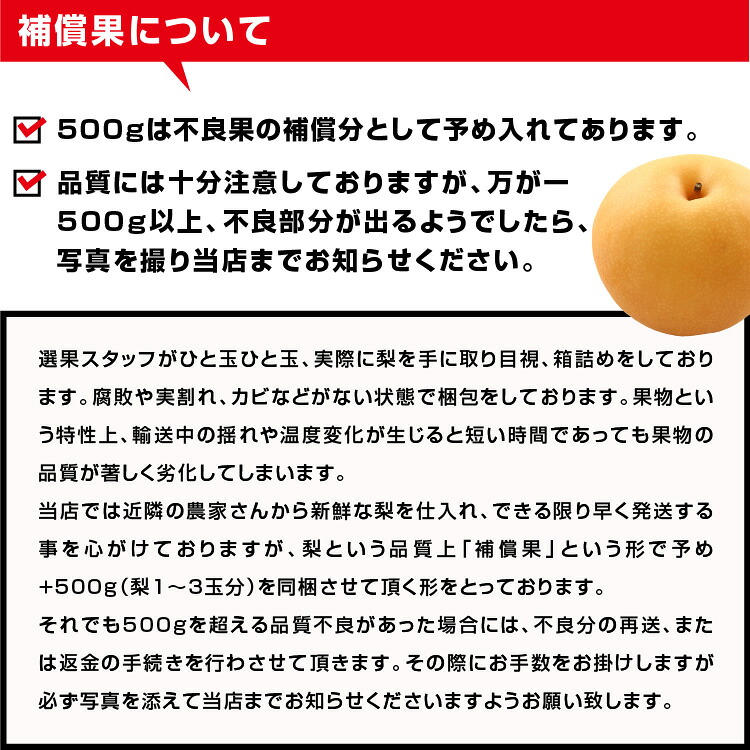 【送料無料】 梨 訳あり 5kg 長野県産 幸水 / 豊水 / 二十世紀 / あきづき / 新高 / 南水 6品種からお好きな梨を選べる！ ご自宅用 お徳用 ご家庭用 | なし 訳あり梨 和梨 ナシ 産地直送 旬の果物 大容量 フルーツ お得 果汁たっぷり 傷あり 変形果 お取り寄せ 信州産