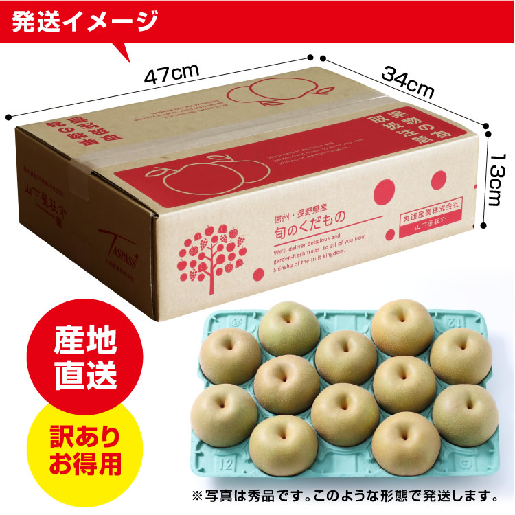 送料無料】訳あり 梨 5kg 長野県産 幸水 / 豊水 / 二十世紀 / あきづき