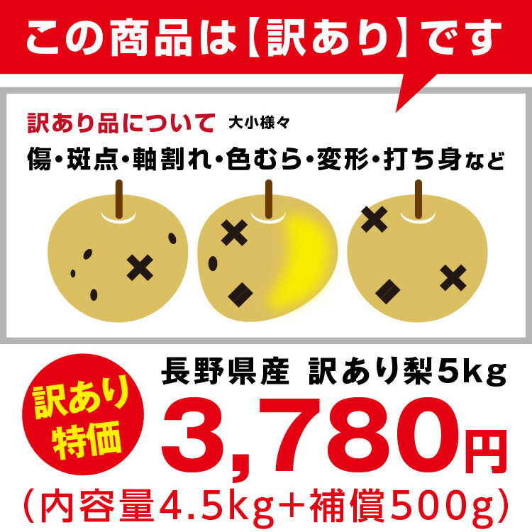 【送料無料】 梨 訳あり 5kg 長野県産 幸水 / 豊水 / 二十世紀 / あきづき / 新高 / 南水 6品種からお好きな梨を選べる！ ご自宅用 お徳用 ご家庭用 | なし 訳あり梨 和梨 ナシ 産地直送 旬の果物 大容量 フルーツ お得 果汁たっぷり 傷あり 変形果 お取り寄せ 信州産