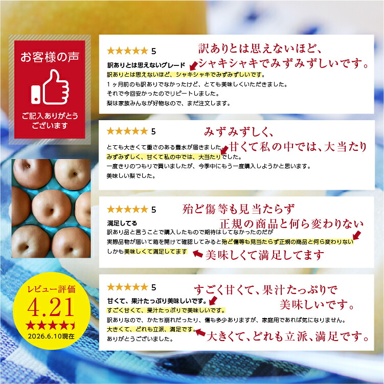 【送料無料】 梨 訳あり 5kg 長野県産 幸水 / 豊水 / 二十世紀 / あきづき / 新高 / 南水 6品種からお好きな梨を選べる！ ご自宅用 お徳用 ご家庭用 | なし 訳あり梨 和梨 ナシ 産地直送 旬の果物 大容量 フルーツ お得 果汁たっぷり 傷あり 変形果 お取り寄せ 信州産