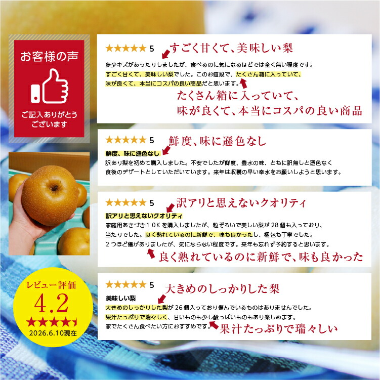 送料無料】訳あり 梨 10kg 長野県産 幸水 / 豊水 / 二十世紀 / あ