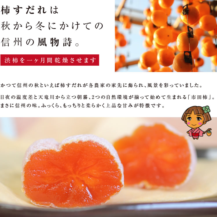 送料無料】信州の特産品 市田柿 4kg（500g×8袋）新物 ご家庭用