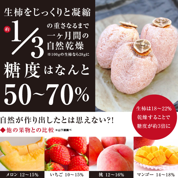 予約 新物 市田柿 1kg 500g×2袋 長野県産 ご家庭用 あす楽 干し柿 干柿 渋柿 長野 信州 ドライフルーツ スイーツ ご自宅用 市田柿コンクール第2位  特産 プチギフト 糖度の高いフルーツ お取り寄せ お土産 自然派おやつ GIマーク認証品 levolk.es