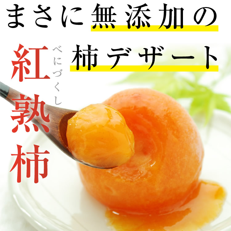 ＼200Pプレゼント／【送料無料】紅熟柿市田柿を丸ごと1個使った氷菓子無添加砂糖不使用9個入|アイスお取り寄せギフト柿アイス市田柿シャーベットお中元内祝高級グルメスイーツフルーツ果物柿冷凍自然食品贈り物銀の