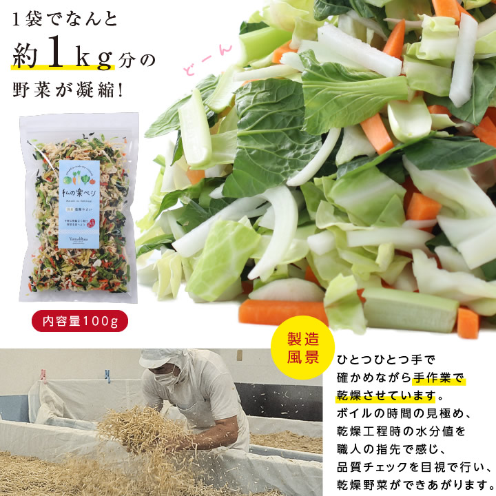 送料無料】乾燥野菜 国産 私の楽ベジ 100g 5種の国産野菜 ドライ野菜