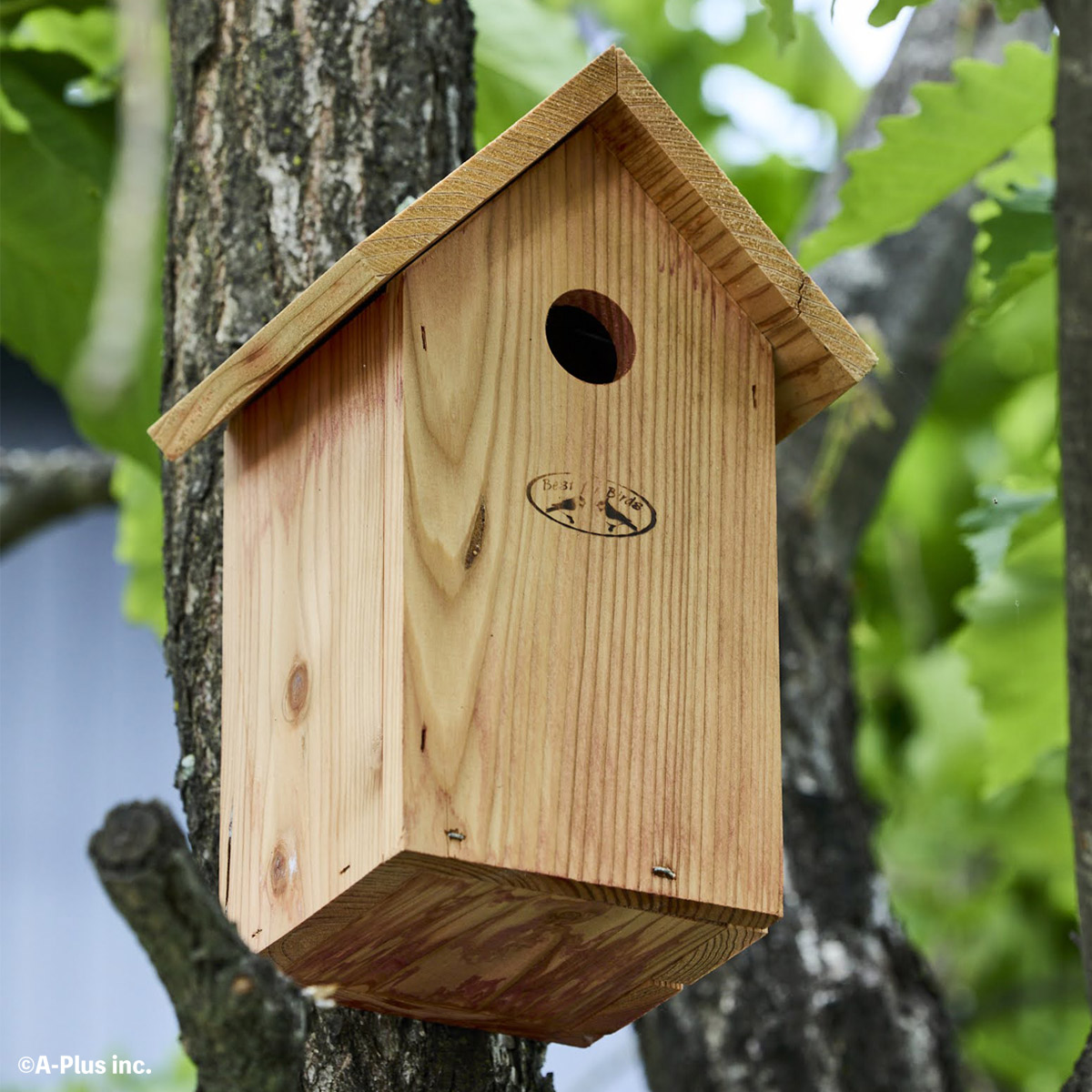 楽天市場】鳥の 巣箱 おしゃれ 「 ESSCHERT DESIGN どんぐり型 バード