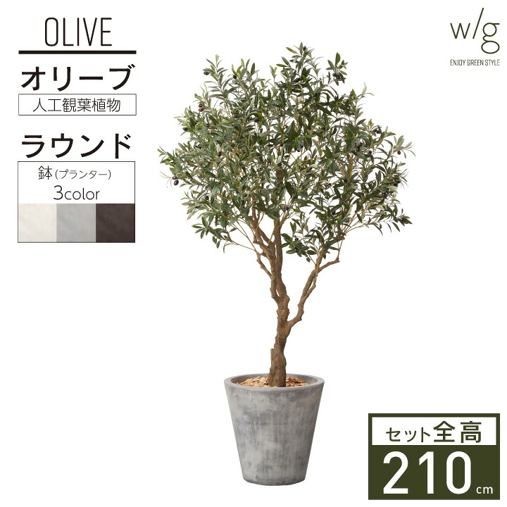 フェイクグリーン 大型 リアル 2m～「オリーブＬ&times;Round w/g」 高さ210cm 人工観葉植物 鉢セット おしゃれ リアル 室内 オフィス｜おしゃれガーデン家具と物置 JUICY