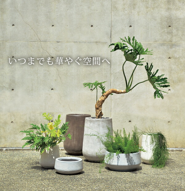 オシャレ 観葉植物 鉢植え ガーデン 植木鉢 リゾート カバー オフィス 容量140l 100 インテリア おしゃれ 鉢カバー 庭 屋内 室内 屋外 シンプル 四角 おしゃれ 特大 大型 プランター クレイポット Claypot ハイレクタングル100 High Rectangle 100 対応鉢 オシャレ 観葉植物 鉢植え ガーデン 植木鉢 リゾート カバー オフィス 容量140l 100 インテリア おしゃれ 鉢カバー 庭 屋内 室内 屋外 シンプル 四角 おしゃれ 特大 大型 プランター クレイポット Claypot ハイレクタングル100 High Rectangle 100 対応鉢