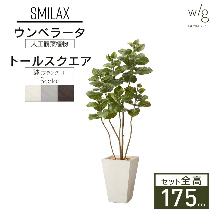 インテリアグリーン×プランターセット 大型「ウンベラータ×Tall Square w/g」高さ175cm フィカス ゴムの木 人工観葉植物 フェイクグリーン おしゃれ リアル 室内 オフィス|おしゃれガーデン家具と物置 JUICY