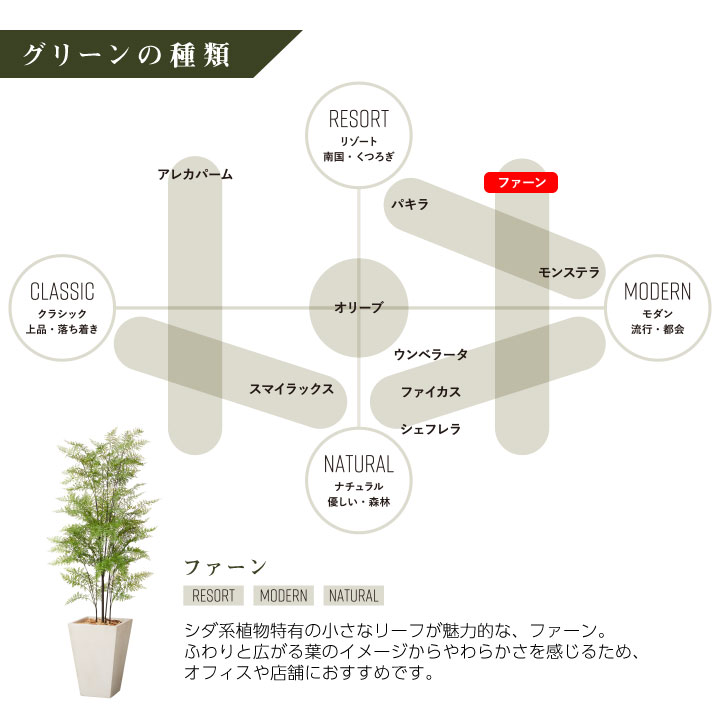 リアル おしゃれ ディスプレイ インテリア オブジェ Square 装飾 大型 屋内 室内 花 観葉植物 お洒落 鉢 メンテナンスフリー 手入れ不要 オフィス フェイクグリーン 造花 プレゼント リゾート モダン インテリアグリーン プランターセット W G ファーン Tall Square リアル おしゃれ ディスプレイ インテリア オブジェ Square 装飾 大型 屋内 室内 花 観葉植物 お洒落 鉢 メンテナンスフリー 手入れ不要 オフィス フェイクグリーン 造花 プレゼント リゾート モダン インテリアグリーン プランターセット W G ファーン Tall Square