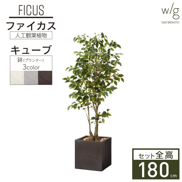 楽天市場】フェイクグリーン リアル 大型 特大 2m 「オリーブＬ×Cube w/g」 高さ200cm 人工観葉植物 造花 おしゃれ : おしゃれガーデン家具と物置  JUICY