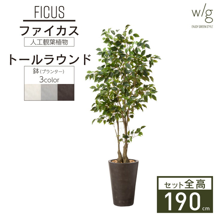 楽天市場】フェイクグリーン リアル 大型 特大 2m 「オリーブＬ×Cube w/g」 高さ200cm 人工観葉植物 造花 おしゃれ : おしゃれガーデン家具と物置  JUICY