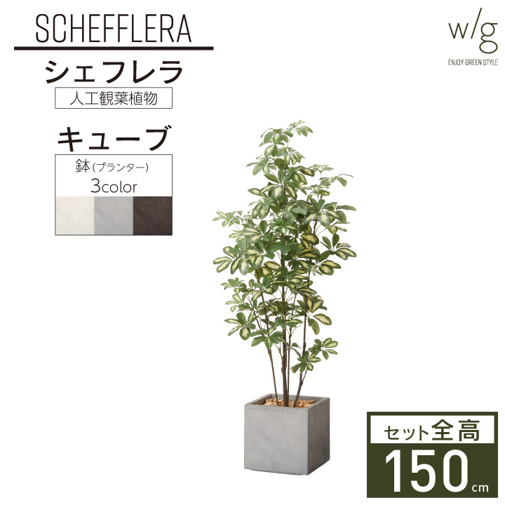 リアル 花 観葉植物 お洒落 ディスプレイ オフィス 人工観葉植物 装飾 シェフレラ Cube オブジェ インテリア 手入れ不要 鉢 メンテナンスフリー おしゃれ 屋内 室内 フェイクグリーン 造花 プレゼント ナチュラル モダン インテリアグリーン プランターセット W G