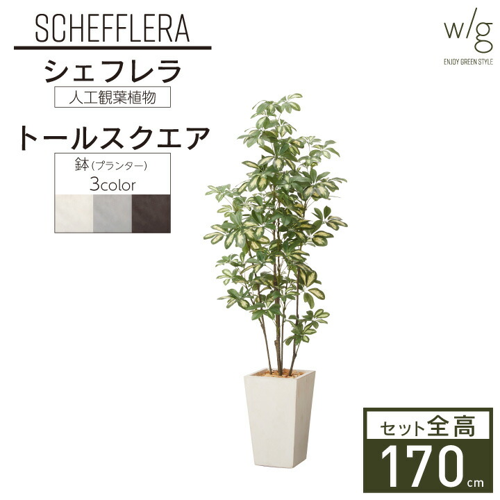 楽天市場】フェイクグリーン鉢セット 大型 「シェフレラ×Tall Round w/g」 高さ175cm 人工観葉植物 インテリアグリーン プランター  簡単組立 おしゃれ リアル 室内 オフィス : おしゃれガーデン家具と物置 JUICY