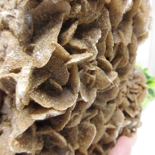 【天然石】デザートローズ☆BIG☆砂漠の薔薇☆約1260g☆希少な大きさ☆|創月石