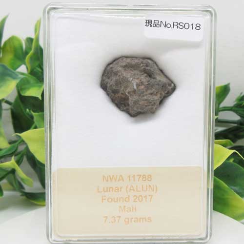 楽天市場】【隕石】☆月の石☆約2.56g☆Lunar meteorite☆メテオ