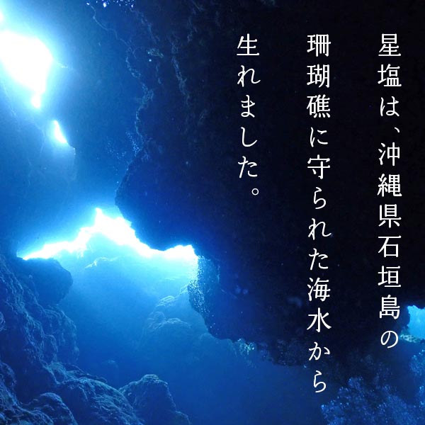 市場 天然塩 星塩☆天然☆石垣島☆サンゴ礁☆ハイクオリティ☆塩☆浄化☆料理☆ひとつまみ☆ミネラル☆100％☆日本天然塩初受賞☆海塩☆天日☆海水 ☆食塩☆公式販売店☆ポスト投函☆簡易包装☆：創月石