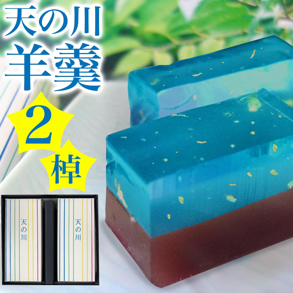 【P最大10倍☆お買い物マラソン】 羊羹 ようかん 天の川羊羹（2棹）ギフト スイーツ 和菓子 お中元 七夕  ※2023年7月31日頃より順次出荷 株式会社 総本家駿河屋 