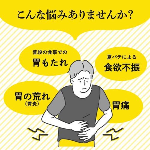 序数詞2ジャンルメディシン剤 大正漢方お中薬ピル剤 2錠 3箱書割 大正漢方胃腸薬 Casonalospinos Cl