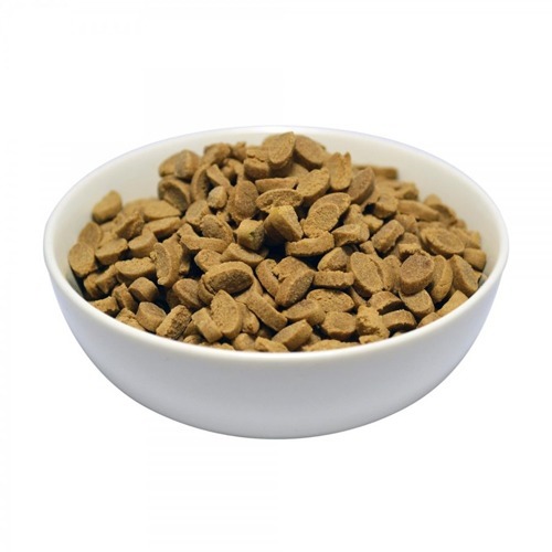 楽天市場 Bloom おいしい犬の贅沢ごはん 雅 フィッシュ 800g ドッグフード 爽快ドラッグ