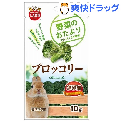 楽天市場 野菜のおたより ブロッコリー 10g 爽快ドラッグ