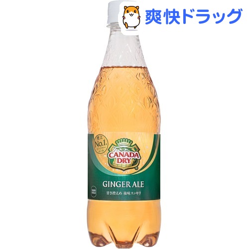 カナダドライ ジンジャーエール(500mL*24本入)【カナダドライ】